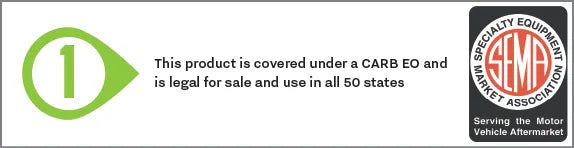 TRIUMPH STREET TRIPLE 765 R - S - RS - ABS - R LOW 2017 - 2024 PC6 BY DYNOJET WITH OPTIONAL CUSTOM TUNING BY BLR TUNING