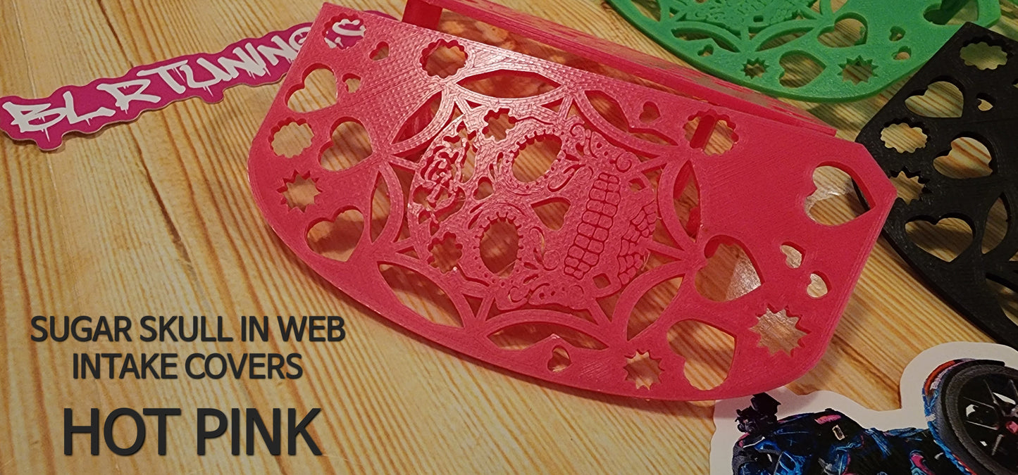 CAN-AM RYKER SUGAR SKULL IN WEB INTAKE COVERS