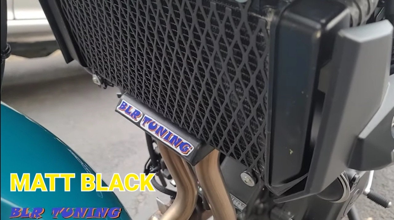KAWASAKI Z400 & NINJA 400 Radiator Protective Grill