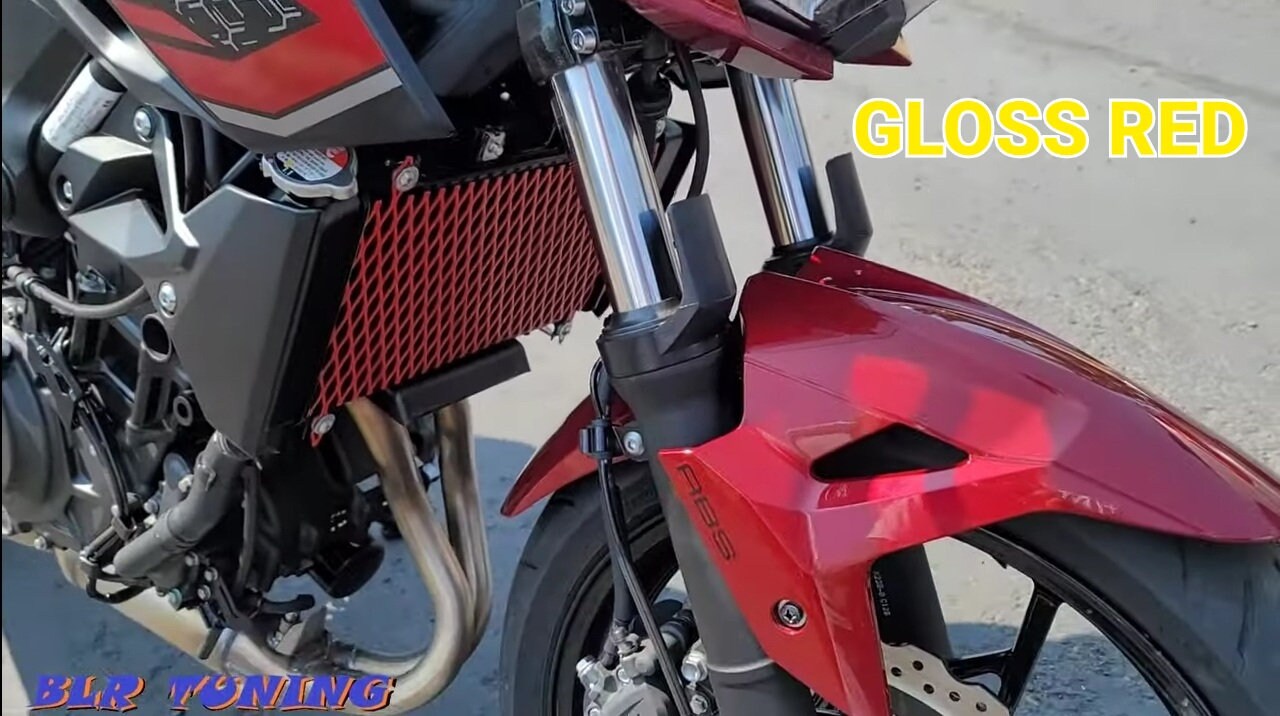 KAWASAKI Z400 & NINJA 400 Radiator Protective Grill