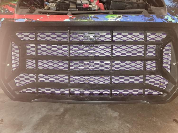 Can-Am Ryker Radiator Protective Grill