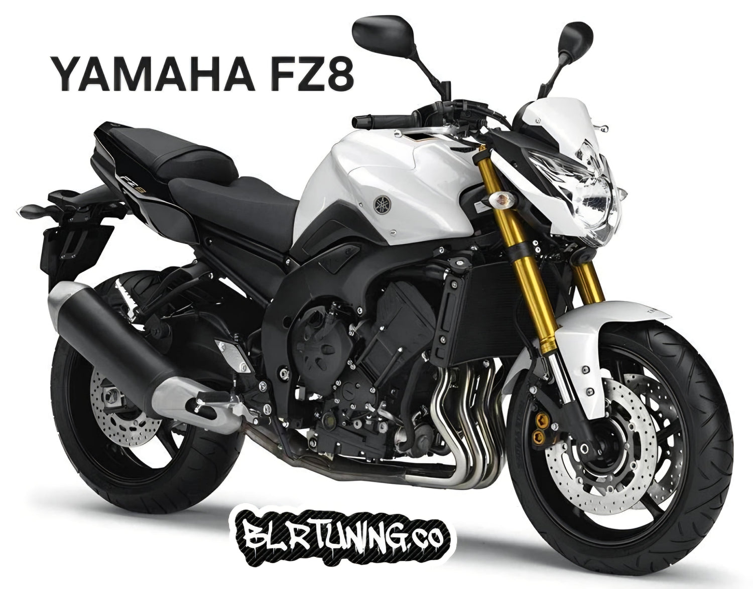 YAMAHA FZ8