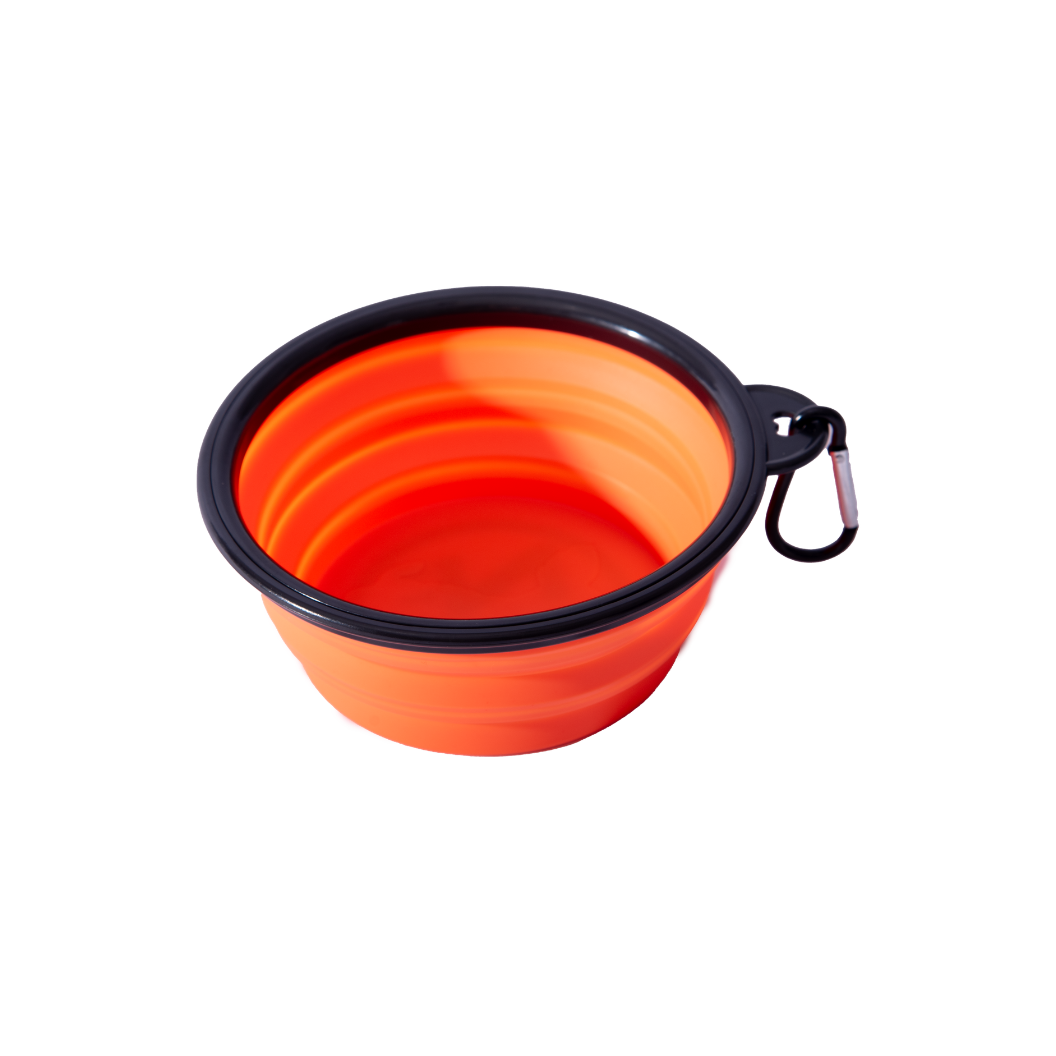 Collapsible Dog Bowl