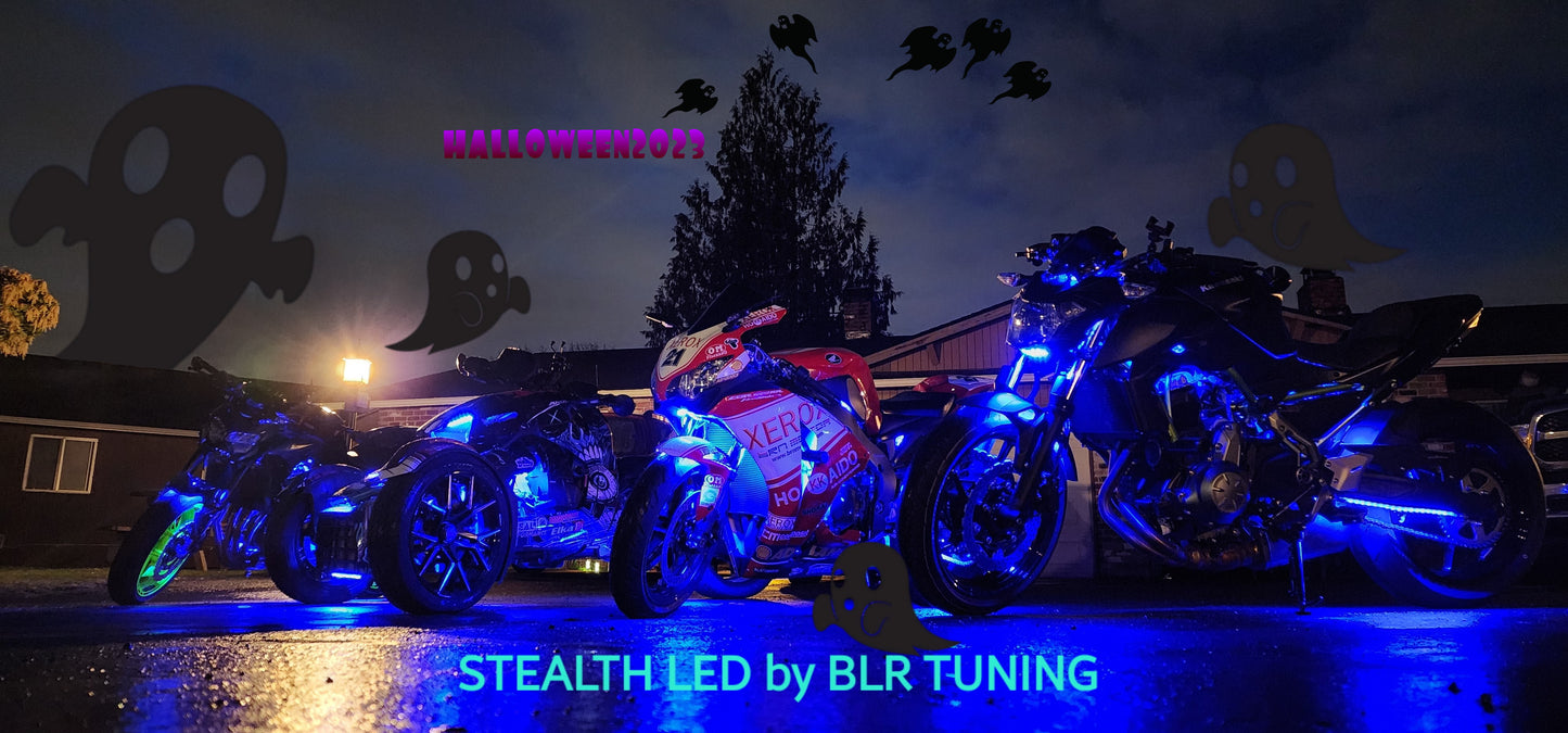 STEALTH LED CONTROL MODULE AND REMOTE