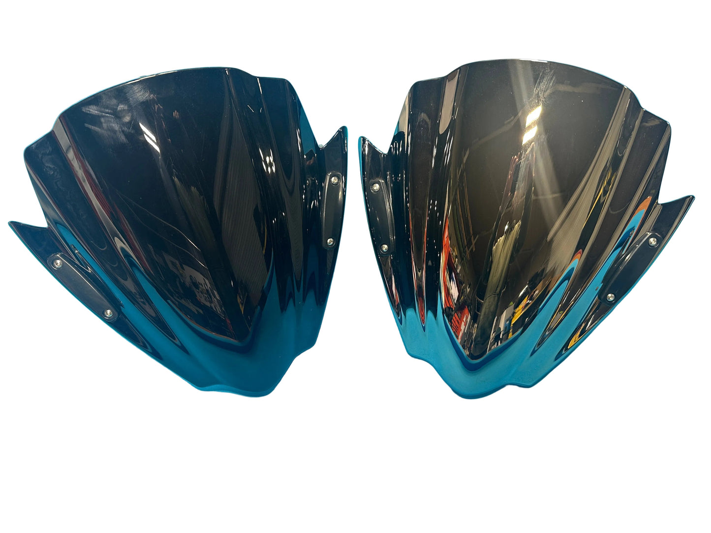 Can-Am Ryker Windshield