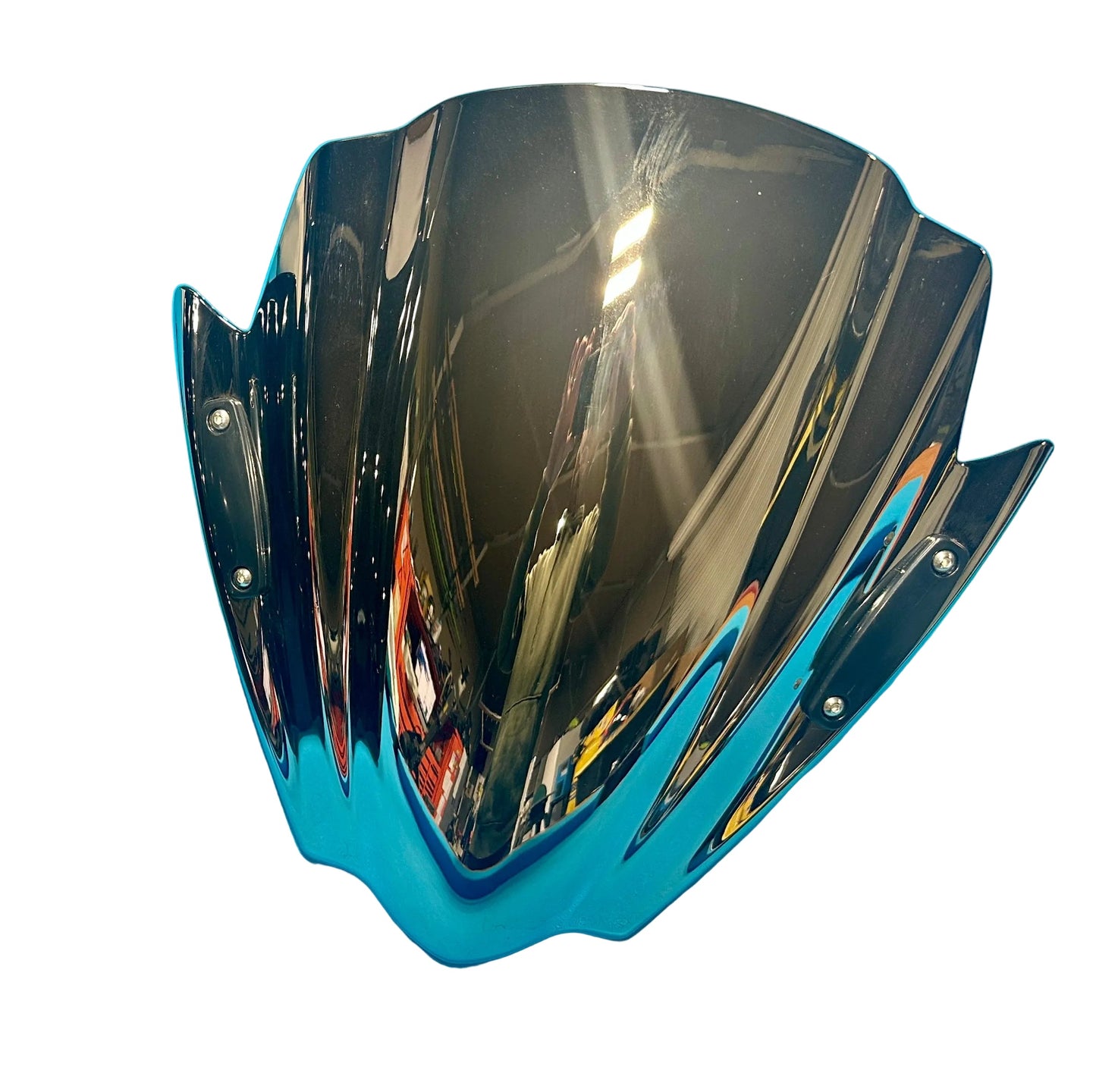 Can-Am Ryker Windshield