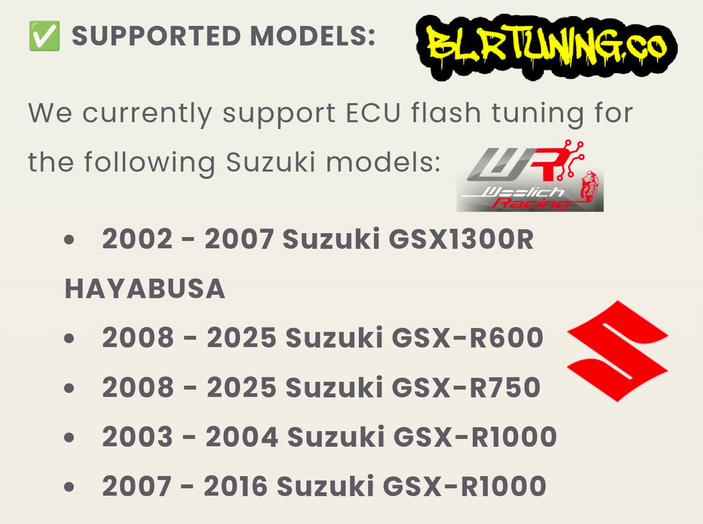 SUZUKI ECU FLASH TUNING