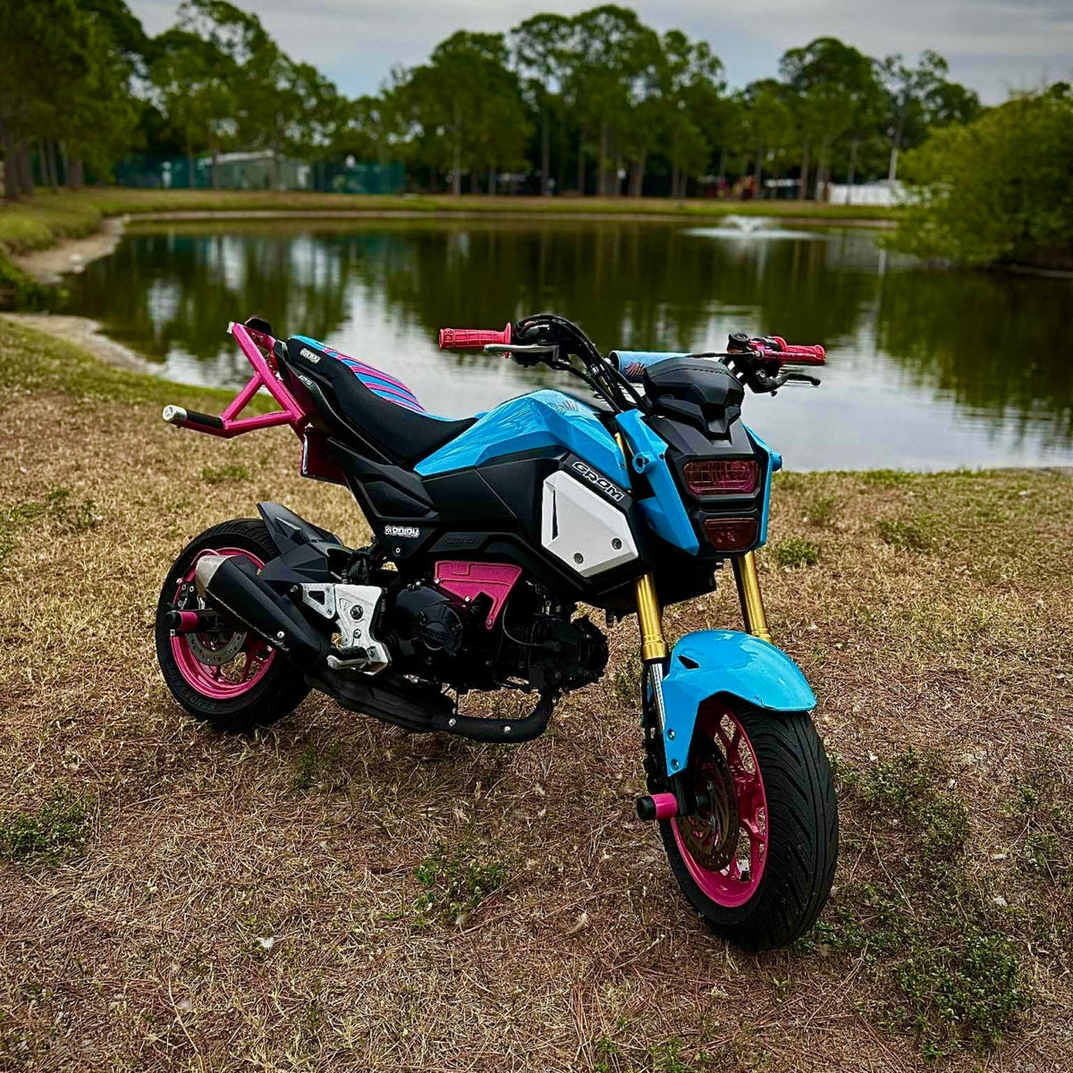 Honda Grom OG-SF Subcage/12bar Combo